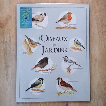 Affiche Oiseaux des Jardins 3