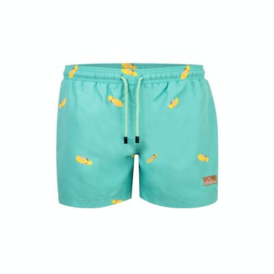 Flip-Flop Adult Swim Trunk