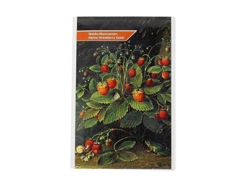 Postkarte mit Blumensamen, Schlesinger, Erdbeeren