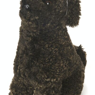 Family dog Coco curly sheepskin_Dark Brown