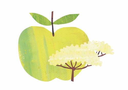 Apple & Elderflower - 1 Litre
