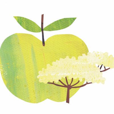 Manzana y Flor de Saúco - 1 Litro