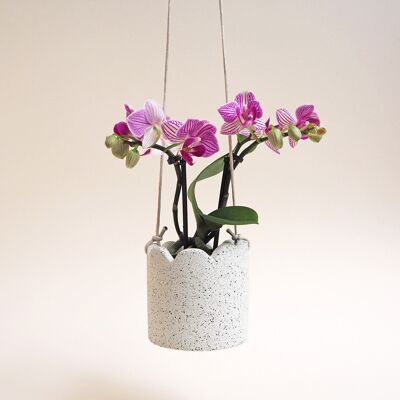 Small Scalloped Hanging Pot