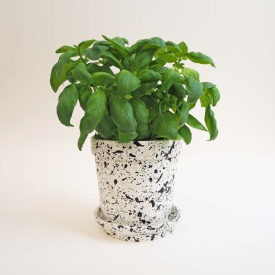 Medium Splatter Plant Pot & Dish