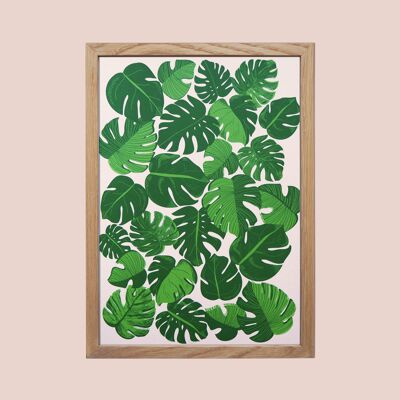 Cheese plant A4 Print