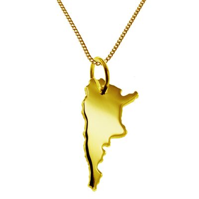 50cm necklace + Argentina pendant in 585 yellow gold
