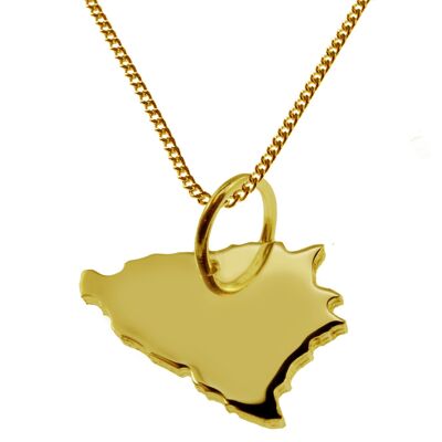 50cm necklace + Bosnia pendant in 585 yellow gold