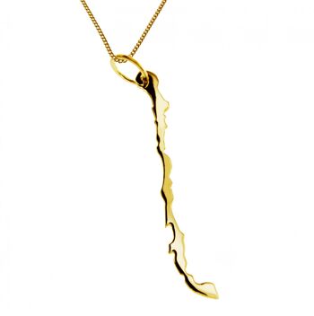 Collier 50cm + pendentif Chili en or jaune 585