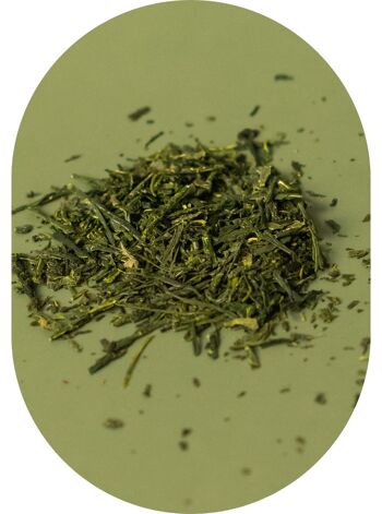 Thé vert Sencha du Japon 3