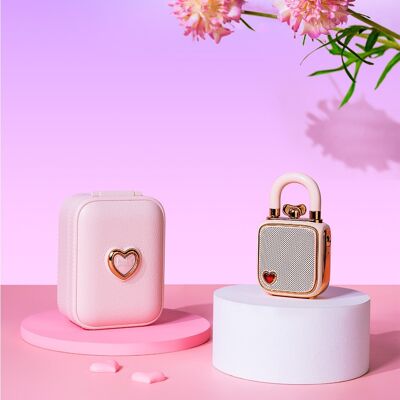 CUSTODIA CON LUCCHETTO - LOVELOCK