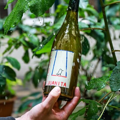 Juanita - Vino biologico non filtrato