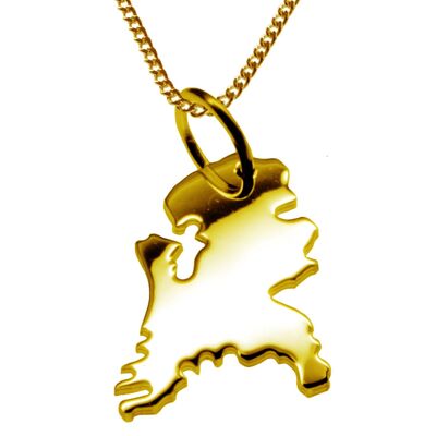 50cm necklace + Holland pendant in 585 yellow gold
