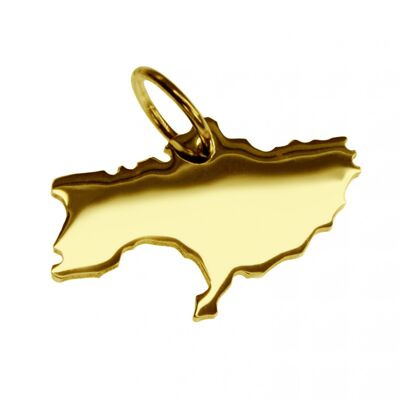 Chain pendant in the shape of the map of Ukraine in solid 333 yellow gold