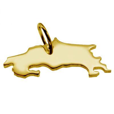 Pendentif en forme de carte du Costa Rica en or jaune 333 massif