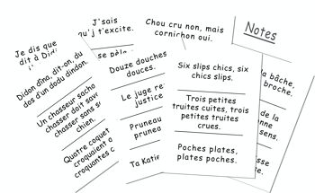 100 Phrases Impossibles à répéter Vite 2