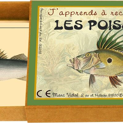 J'apprends à reconnaître les poissons