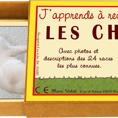 J'apprends à reconnaître les chats