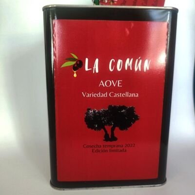 CAN OF EXTRA VIRGIN OLIVE OIL CASTILIAN VARIETY 3 LITERS