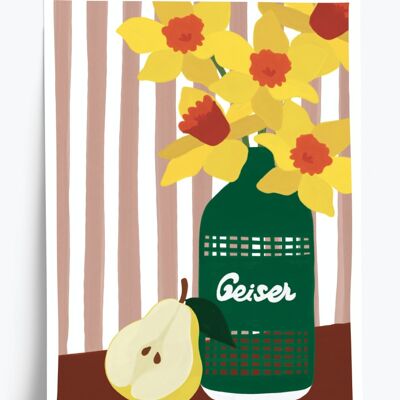 Geiser flower illustrated poster - format 30x40cm