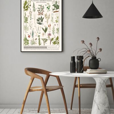 Affiche Poster - Plantes aromatiques - Impression d'art sur toile