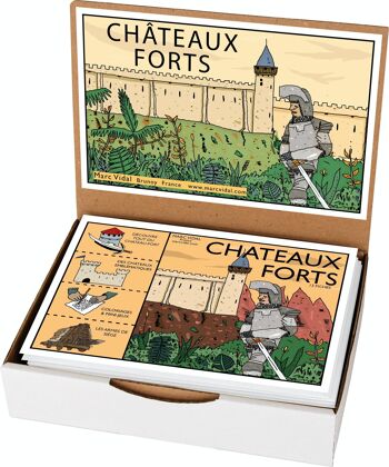 châteaux Forts 1