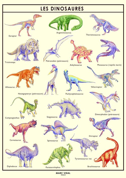 Poster - Dinosaures