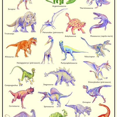 Poster - Dinosaures