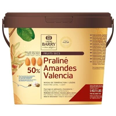 CACAO BARRY - PRALINE GOUT PUR FRUIT AMANDES VALENCIA 50% 5kg