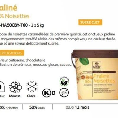 CACAO BARRY - HAZELNUT CARAMELIZED PRALINE 50% 5kg