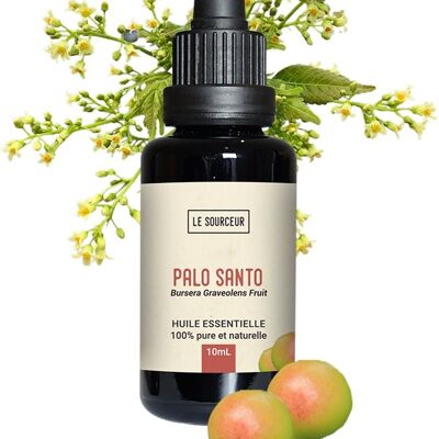 Frutto di palo santo