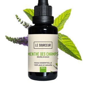 Menthe des Champs