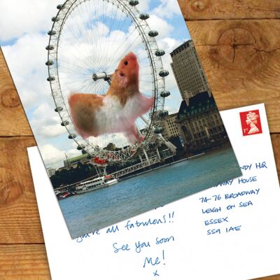 Hamster Postcard