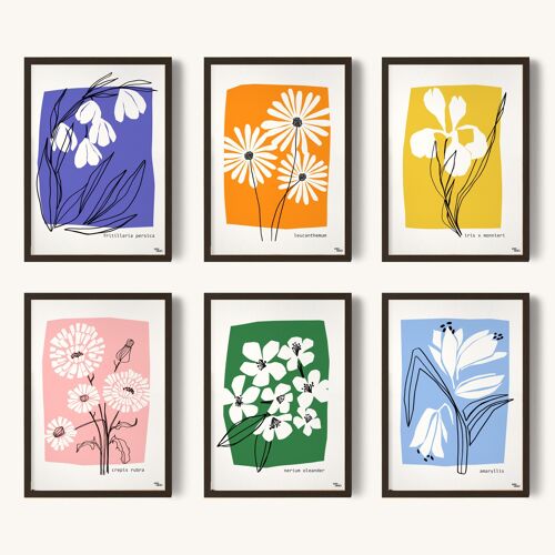 Pack Affiches Fleurs