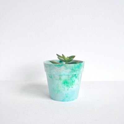 Recycled plastic flowerpot | lady's mantle