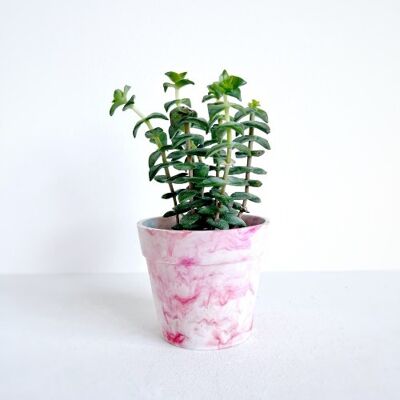 Recycled plastic flowerpot | Poppy