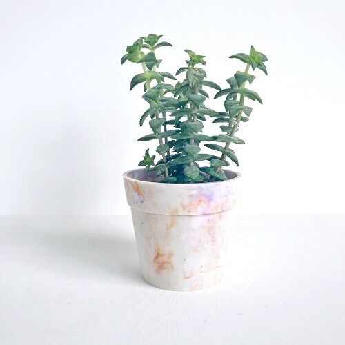 Cache-pot en plastique recyclé | Lewisia