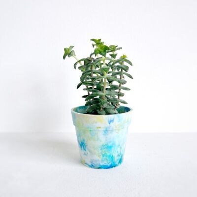 Recycled plastic flowerpot | Thought