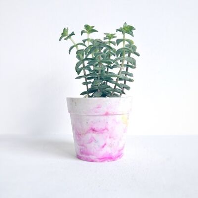 Vaso da fiori in plastica riciclata | Pisello Dolce