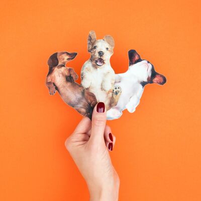 (Random Pick) Dog Nail Files