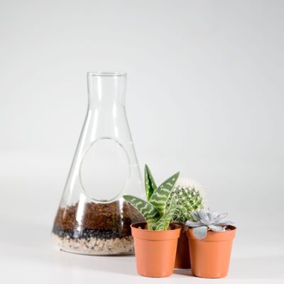 KIT CHIMICA TERRARIUM