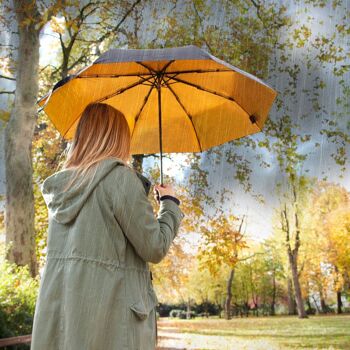 PARAPLUIE NOIR ET OR 5