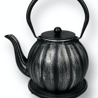 Cast Iron Teapot, Coffee Pot, Special Gift