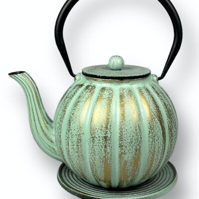 Cast iron teapot, iron pot
