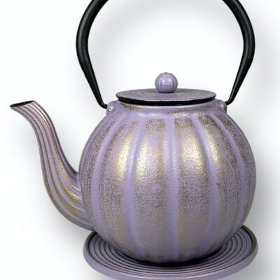 Cast iron teapot coffee pot, iron pot