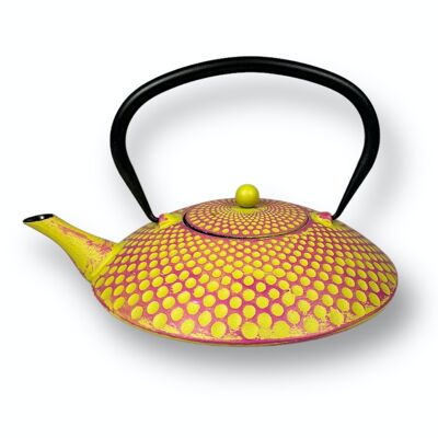 Cast iron teapot, iron pot Yufo 1.0l