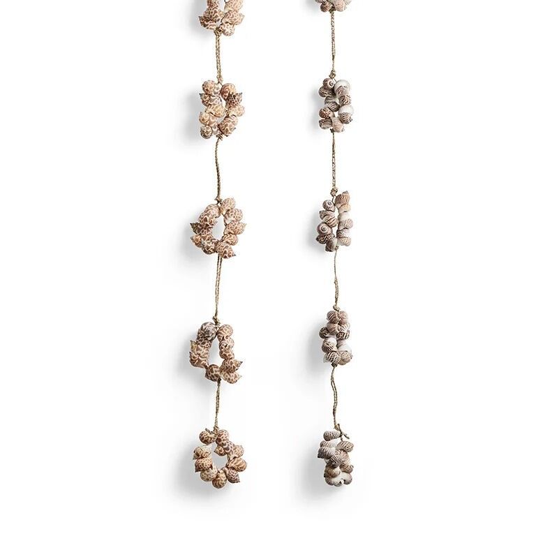 Palla di corda di conchiglia