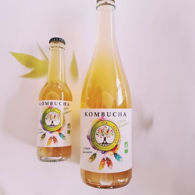 Kombucha artisanal thé vert citron combava 750 ml
