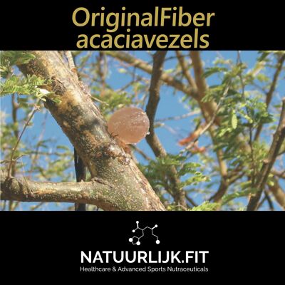 OriginalFiber™ Bio