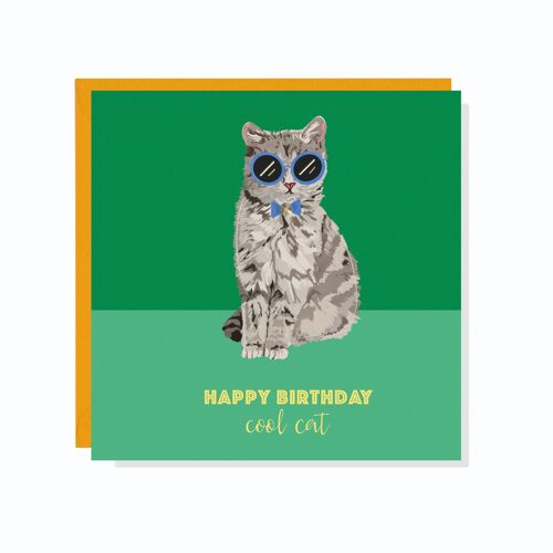 Cool Cat Birthday Card