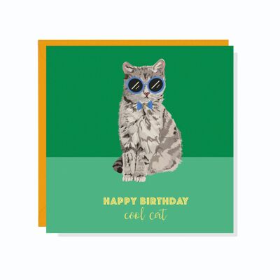 Carte d'anniversaire chat cool